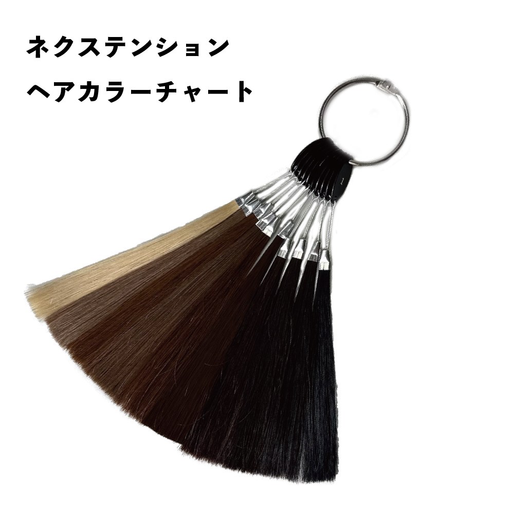 ネクステンションヘアカラーチャート
